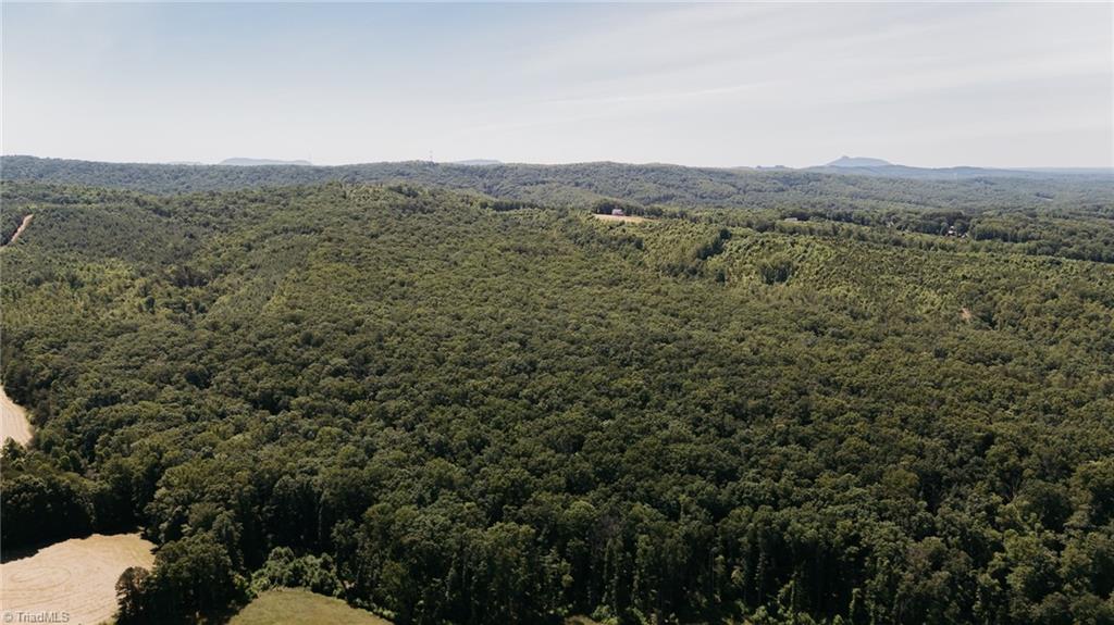 Xx 44.93 Acres Stardust Trail, Mount Airy, North Carolina image 34