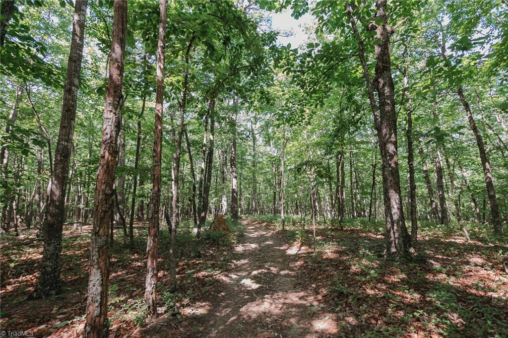Xx 44.93 Acres Stardust Trail, Mount Airy, North Carolina image 23