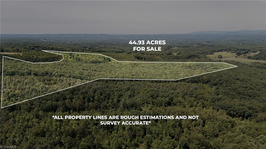 Xx 44.93 Acres Stardust Trail, Mount Airy, North Carolina image 37