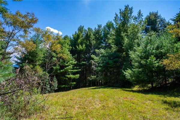 257 ALTA VISTA LN, SPARTA, NC 28675 - Image 7ae721c99d5e5fbcf36acc8decdc7bbd/278777712