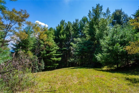 Vacant Land For Sale - 257 Alta Vista Lane<br/> Sparta, NC 28675