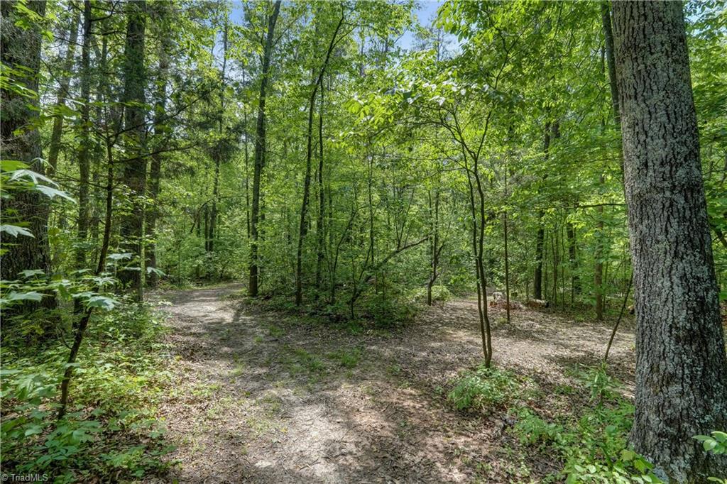1804 Townsend Forest Lane, Browns Summit, North Carolina image 42