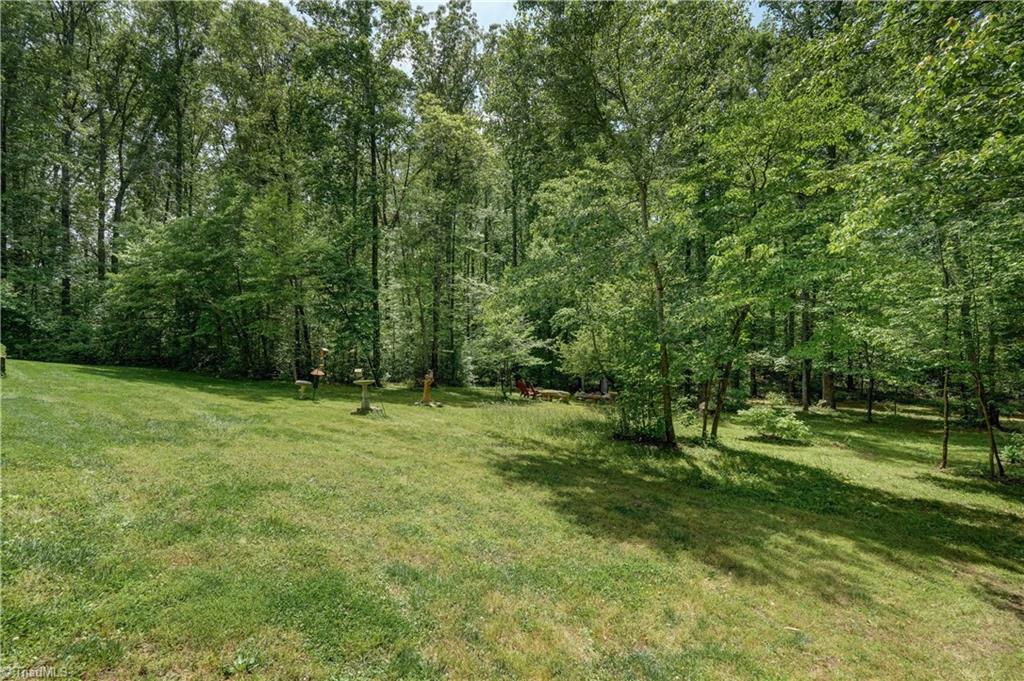 1804 Townsend Forest Lane, Browns Summit, North Carolina image 43