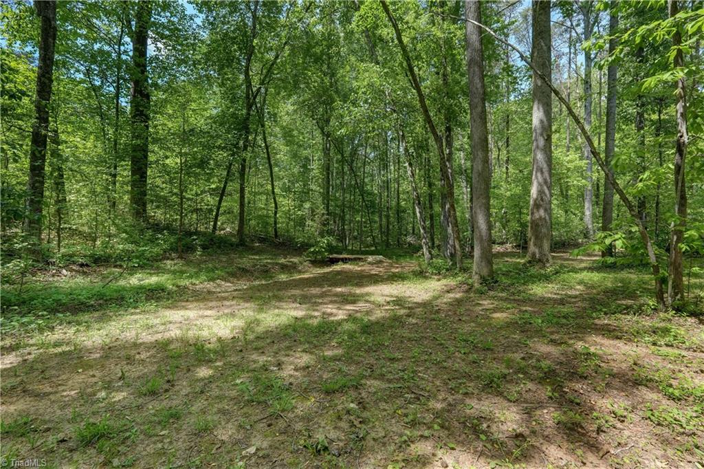 1804 Townsend Forest Lane, Browns Summit, North Carolina image 45