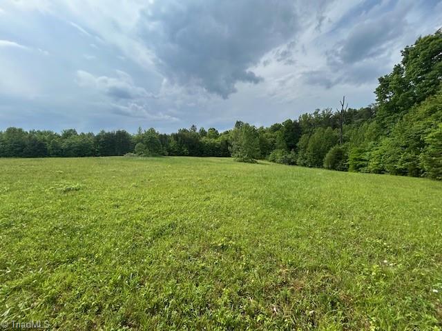 7111 Faucette Farms Drive, Browns Summit, North Carolina image 28