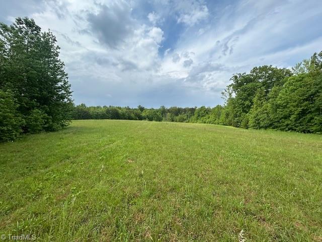 7111 Faucette Farms Drive, Browns Summit, North Carolina image 29
