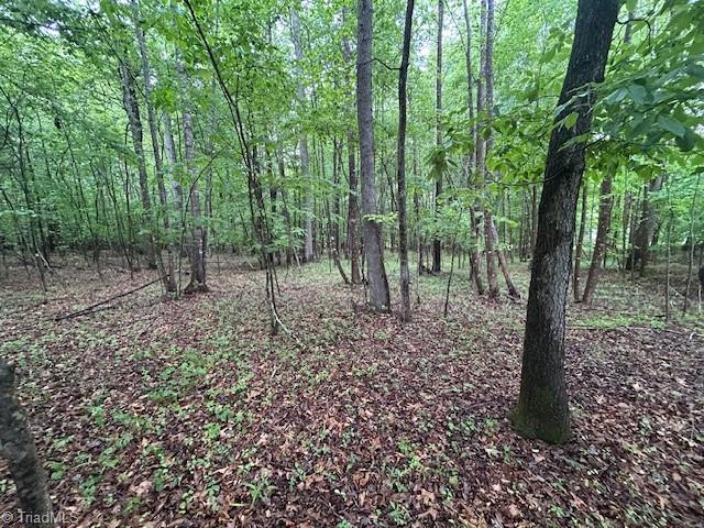 7111 Faucette Farms Drive, Browns Summit, North Carolina image 16