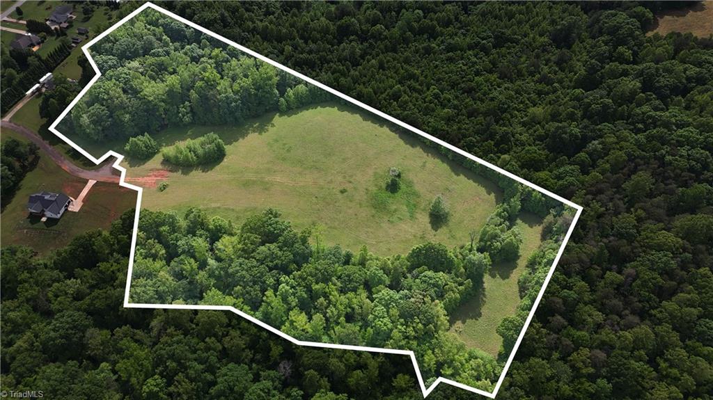 7111 Faucette Farms Drive, Browns Summit, North Carolina image 4