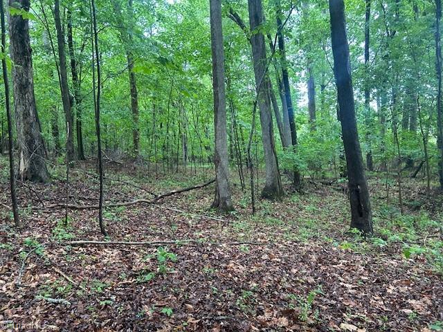 7111 Faucette Farms Drive, Browns Summit, North Carolina image 13