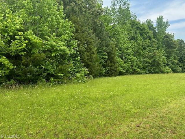7111 Faucette Farms Drive, Browns Summit, North Carolina image 17