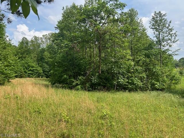 7111 Faucette Farms Drive, Browns Summit, North Carolina image 26