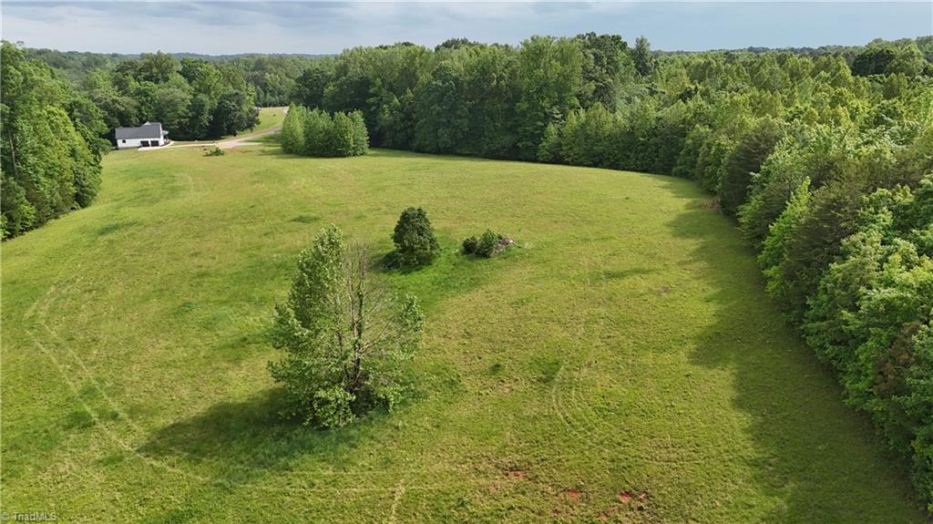 7111 Faucette Farms Drive, Browns Summit, North Carolina image 7
