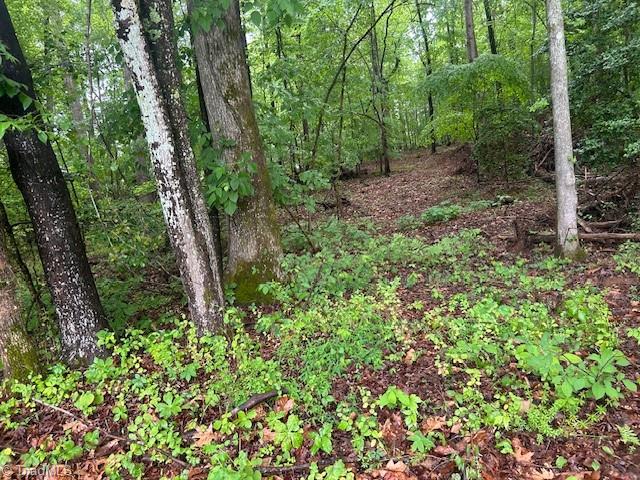 7111 Faucette Farms Drive, Browns Summit, North Carolina image 11