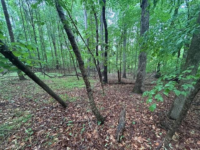 7111 Faucette Farms Drive, Browns Summit, North Carolina image 14