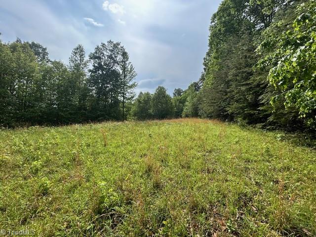 7111 Faucette Farms Drive, Browns Summit, North Carolina image 25