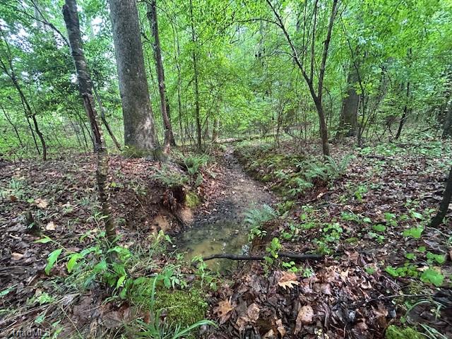 7111 Faucette Farms Drive, Browns Summit, North Carolina image 20