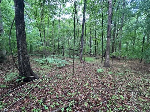 7111 Faucette Farms Drive, Browns Summit, North Carolina image 15