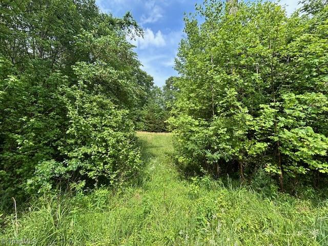 7111 Faucette Farms Drive, Browns Summit, North Carolina image 27