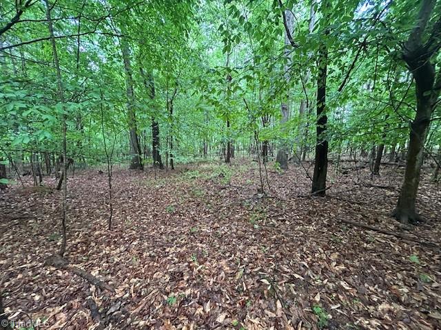 7111 Faucette Farms Drive, Browns Summit, North Carolina image 18