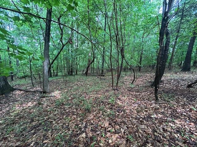 7111 Faucette Farms Drive, Browns Summit, North Carolina image 19