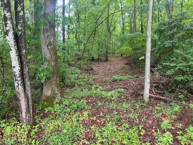 7111 Faucette Farms Drive, Browns Summit, North Carolina image 12