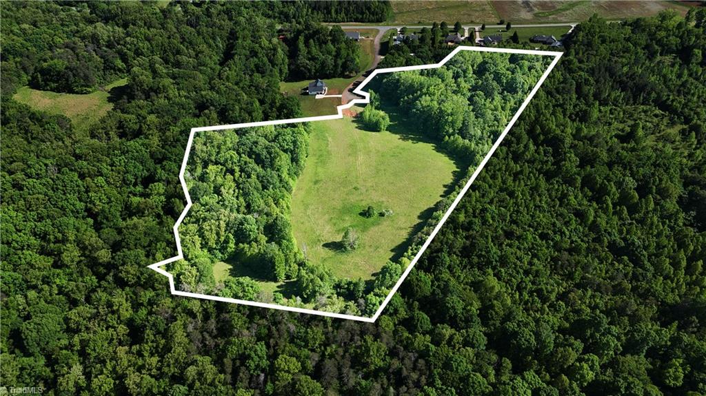 7111 Faucette Farms Drive, Browns Summit, North Carolina image 5