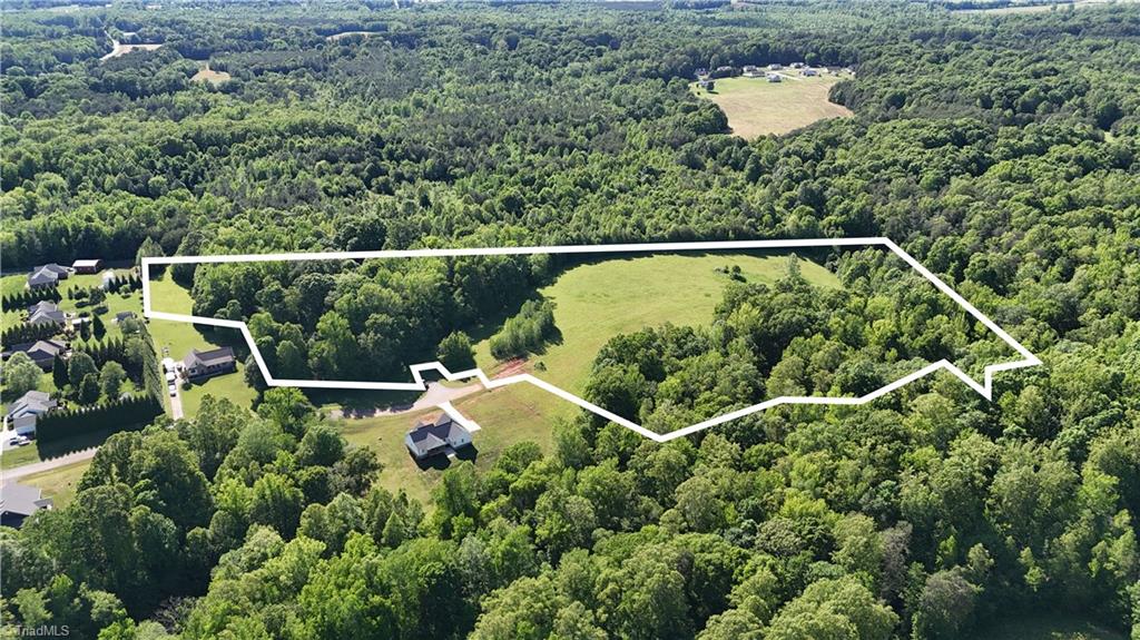 7111 Faucette Farms Drive, Browns Summit, North Carolina image 3