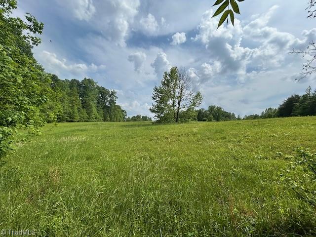 7111 Faucette Farms Drive, Browns Summit, North Carolina image 22