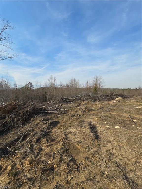 000 Bessie Bell Road, Asheboro, North Carolina image 2