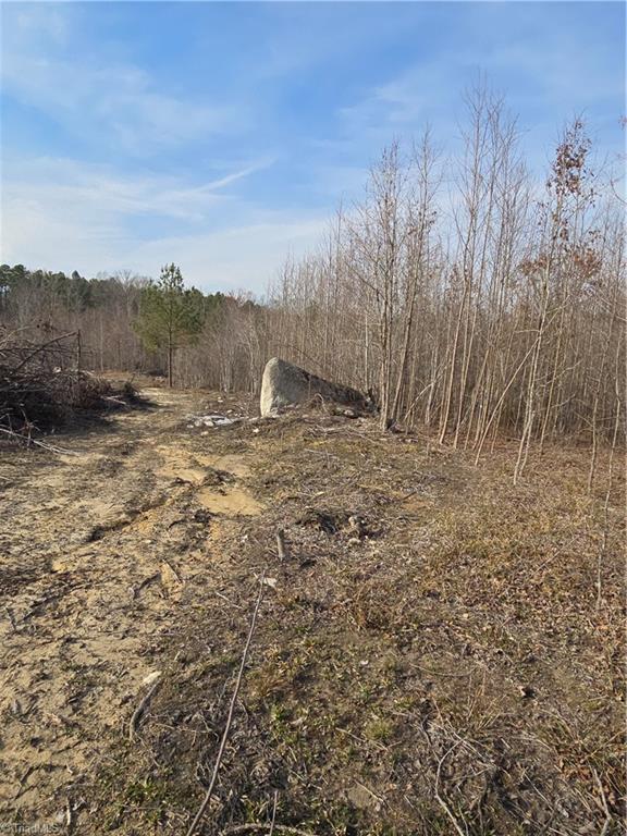 000 Bessie Bell Road, Asheboro, North Carolina image 3