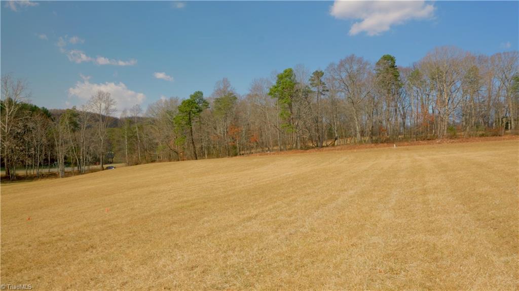 4 Jessup Grove Church Road, Pilot Mountain, North Carolina image 1