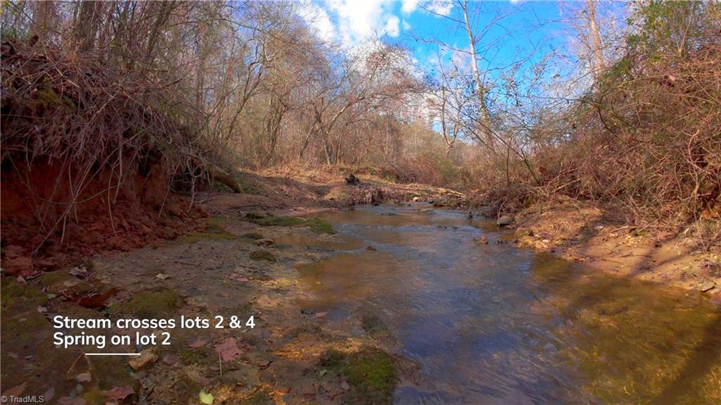 4 Jessup Grove Church Road, Pilot Mountain, North Carolina image 19