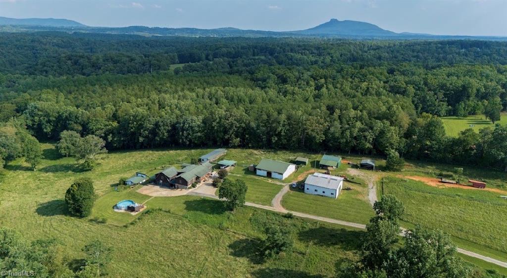Photo of 300 Tom Hunter Road, Pilot Mountain, NC 27041 (MLS # 1229788)