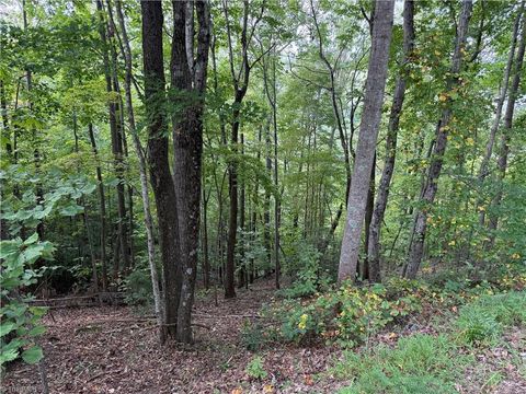 Vacant Land For Sale - 000 Price Road<br/> Moravian Falls, NC 28654