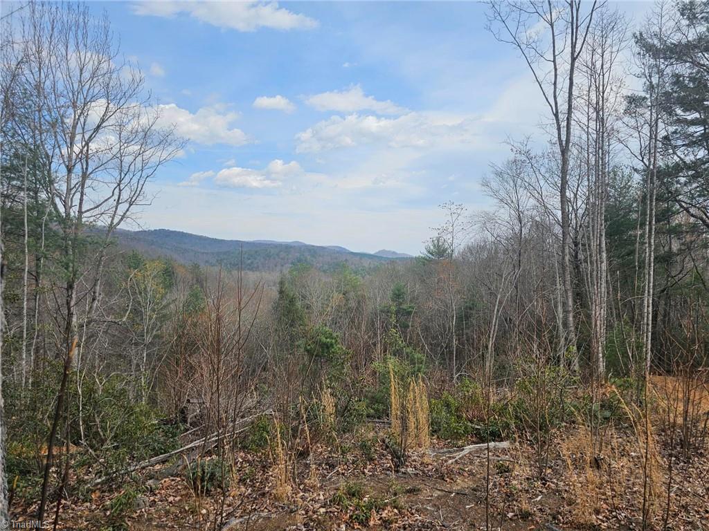 Lot 2 Widow Mountain Drive, Mcgrady, NC, 28635