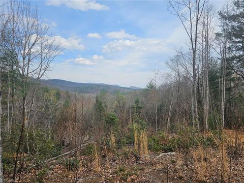 Vacant Land For Sale - LOT 2 Widow Mountain Drive<br/> McGrady, NC 28635