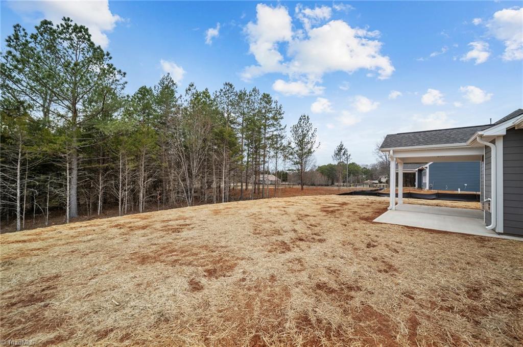 7816 Fairview Garden Trail, Clemmons, North Carolina image 35