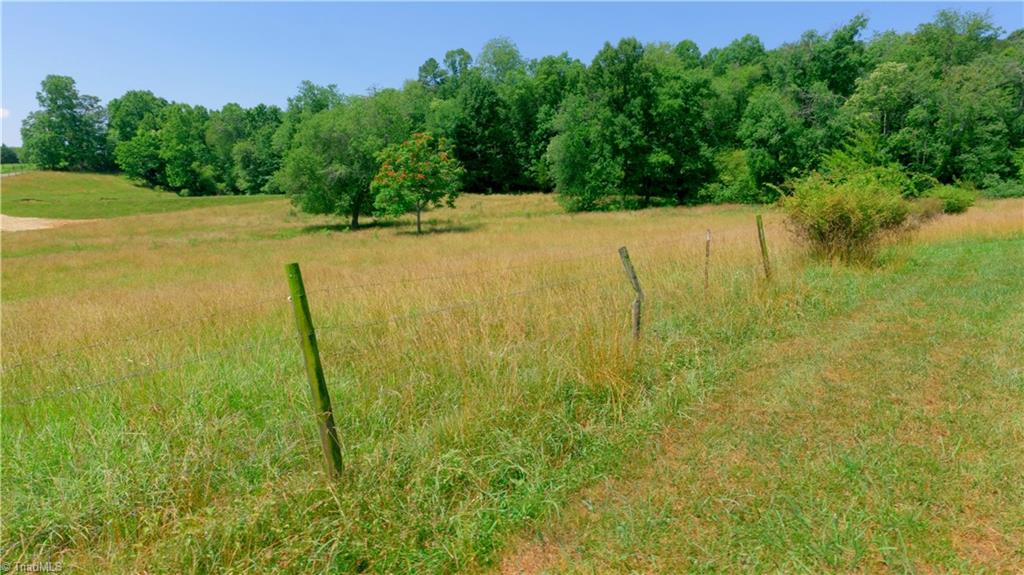 000 Tom Hunter Road, Pilot Mountain, North Carolina image 7