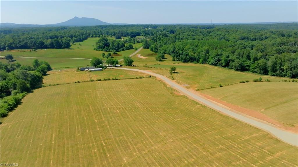 000 Tom Hunter Road, Pilot Mountain, North Carolina image 20