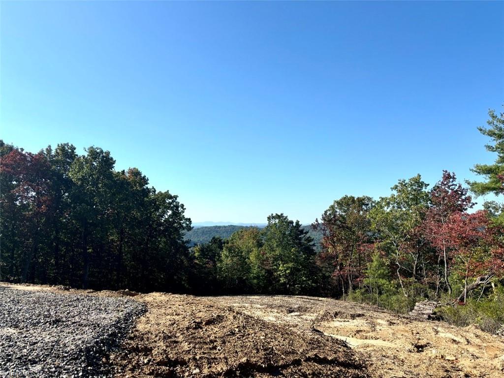 TBD Carriage House Trail, McGrady, North Carolina image 2