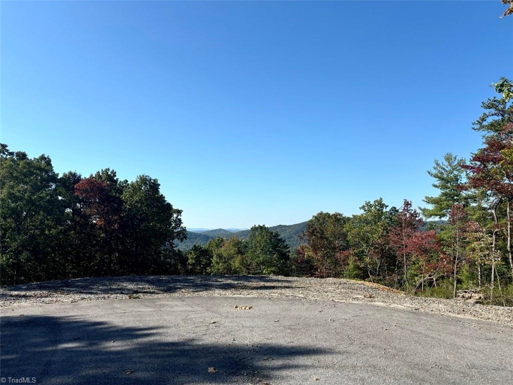 TBD Carriage House Trail, McGrady, North Carolina image 5