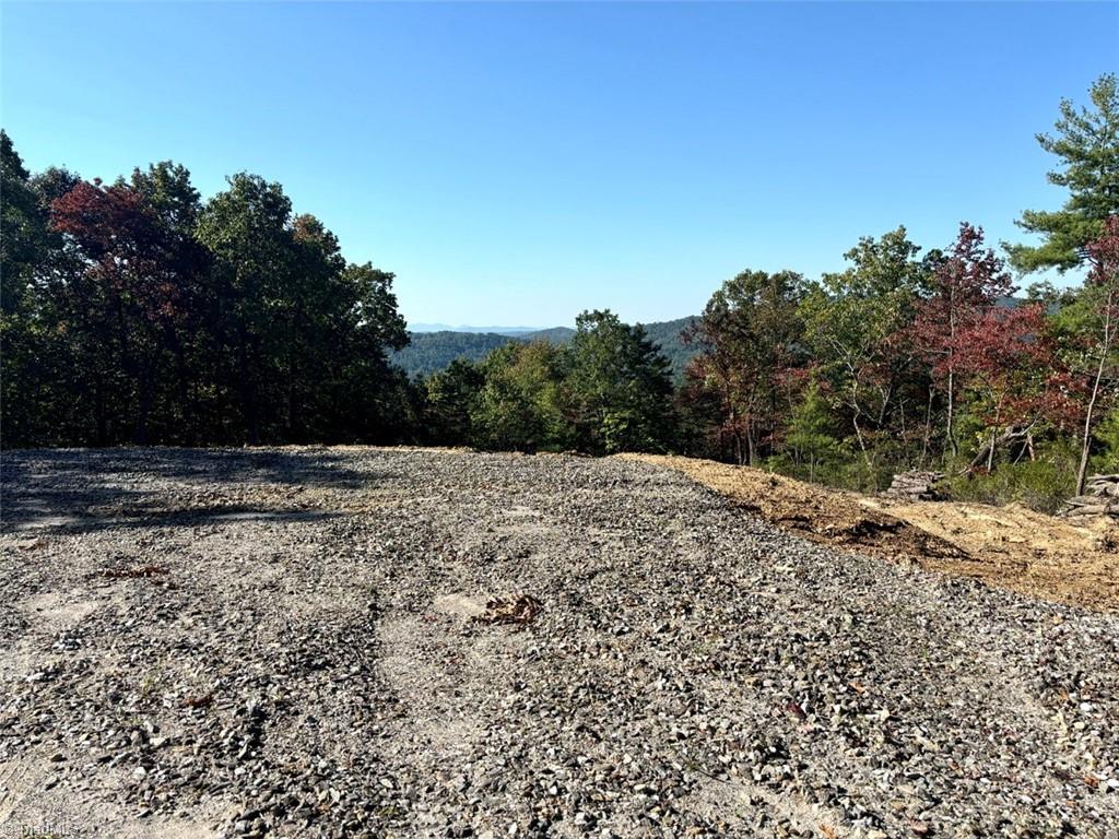 TBD Carriage House Trail, McGrady, North Carolina image 10