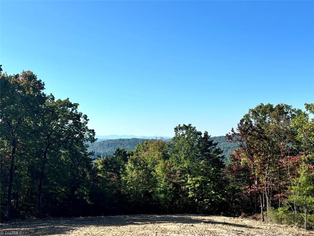 TBD Carriage House Trail, McGrady, North Carolina image 3