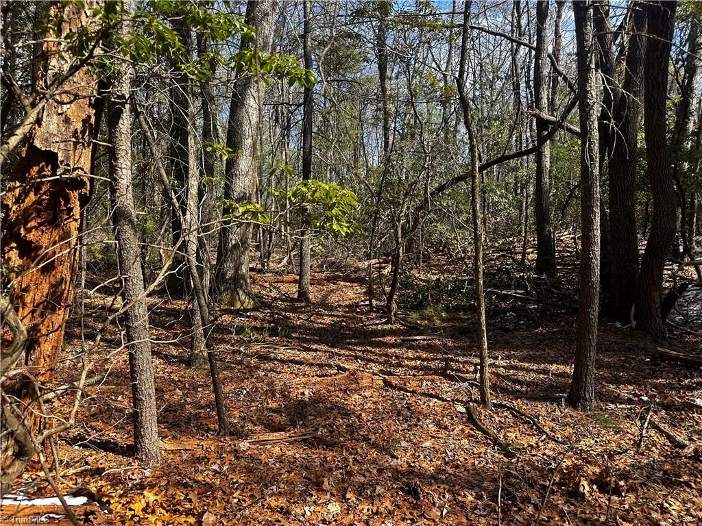 Tract 2 Timber Ridge Road, Millers Creek, North Carolina image 2