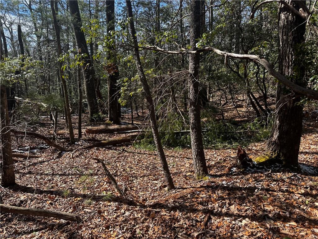 Tract 2 Timber Ridge Road, Millers Creek, North Carolina image 3
