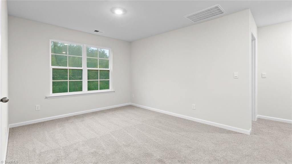 310 Falcon Lane, Lexington, North Carolina image 19
