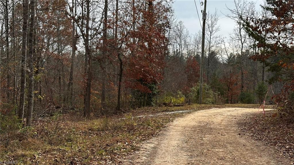 00 Local Road #LOCAL, Mayodan, North Carolina image 6