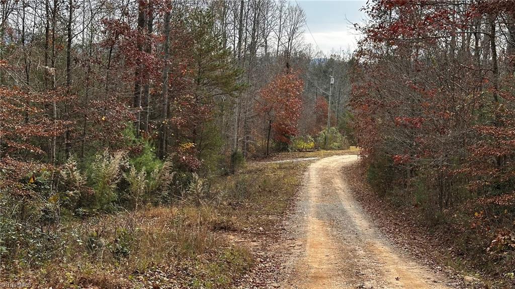 00 Local Road #LOCAL, Mayodan, North Carolina image 4