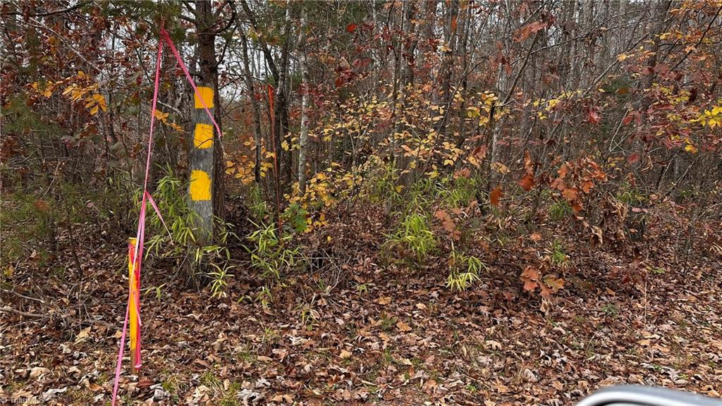 00 Local Road #LOCAL, Mayodan, North Carolina image 30