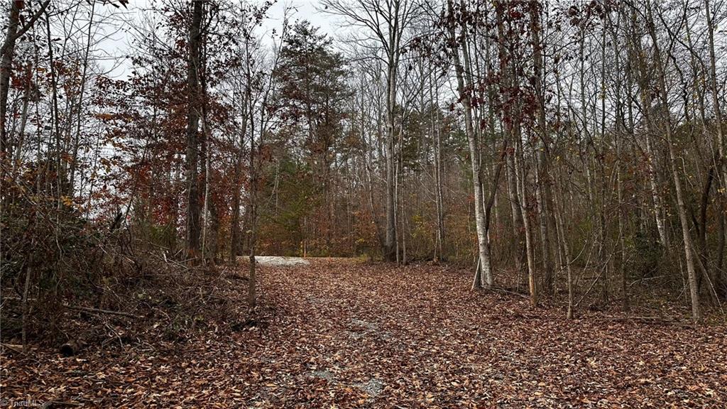 00 Local Road #LOCAL, Mayodan, North Carolina image 7